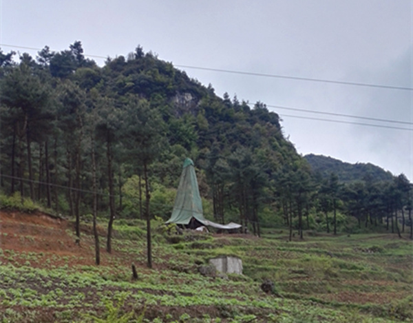 把脈“黔”鋅地，問診開良方