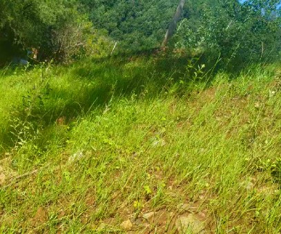 柳關(guān)欒盧鉛鋅礦|治理排土“瘡疤”，繪就綠色畫卷